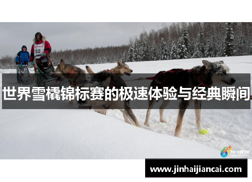 世界雪橇锦标赛的极速体验与经典瞬间