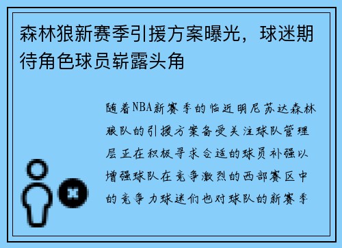 森林狼新赛季引援方案曝光，球迷期待角色球员崭露头角